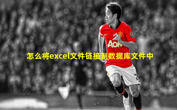 怎么将excel文件链接到数据库文件中