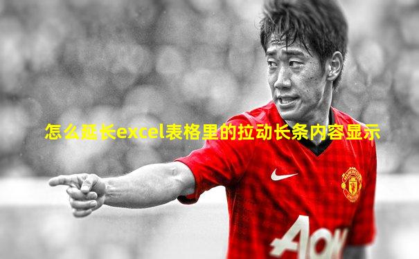 怎么延长excel表格里的拉动长条内容显示