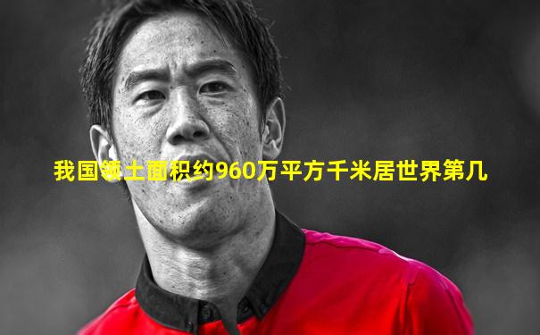 我国领土面积约960万平方千米居世界第几