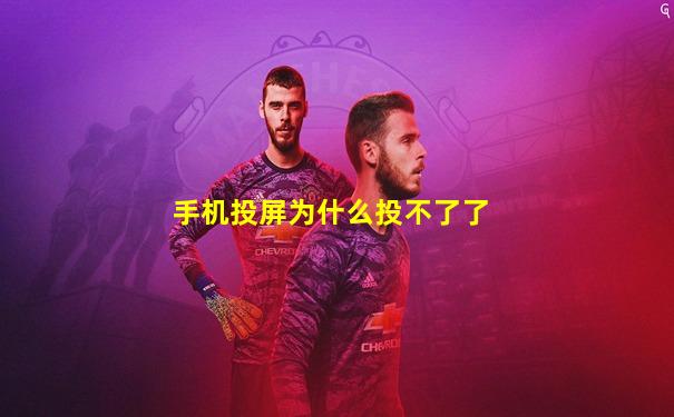 手机投屏为什么投不了了