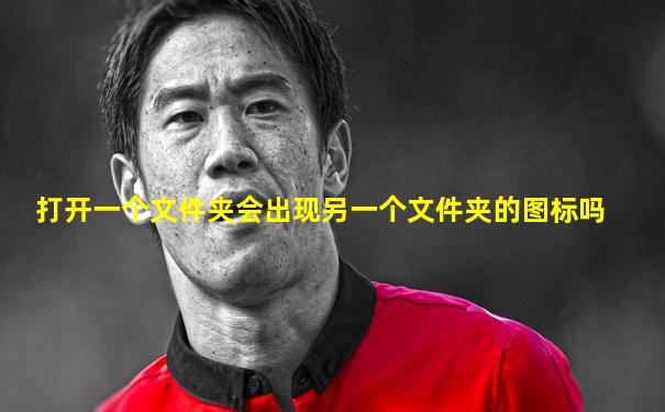 打开一个文件夹会出现另一个文件夹的图标吗