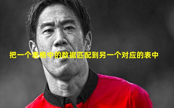 把一个表格中的数据匹配到另一个对应的表中