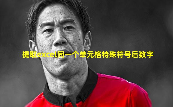 提取excel同一个单元格特殊符号后数字