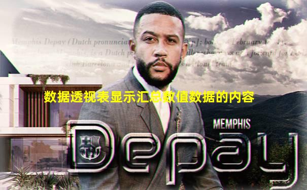 数据透视表显示汇总数值数据的内容