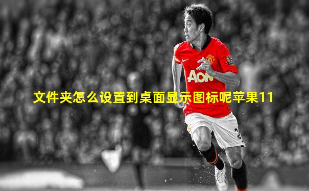 文件夹怎么设置到桌面显示图标呢苹果11