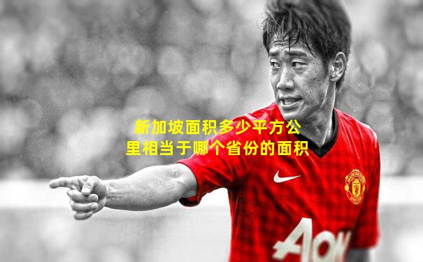新加坡面积多少平方公里相当于哪个省份的面积