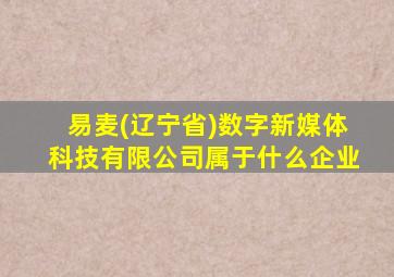 易麦(辽宁省)数字新媒体科技有限公司属于什么企业