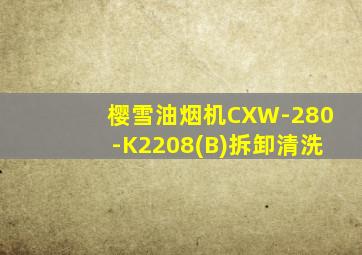 樱雪油烟机CXW-280-K2208(B)拆卸清洗
