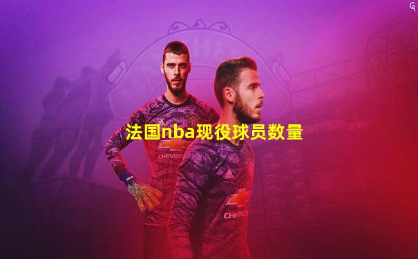 法国nba现役球员数量