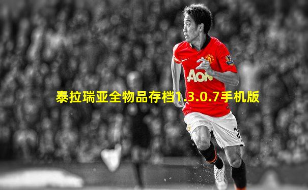 泰拉瑞亚全物品存档1.3.0.7手机版