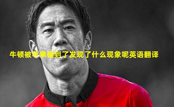 牛顿被苹果砸到了发现了什么现象呢英语翻译