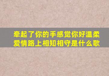 牵起了你的手感觉你好温柔爱情路上相知相守是什么歌