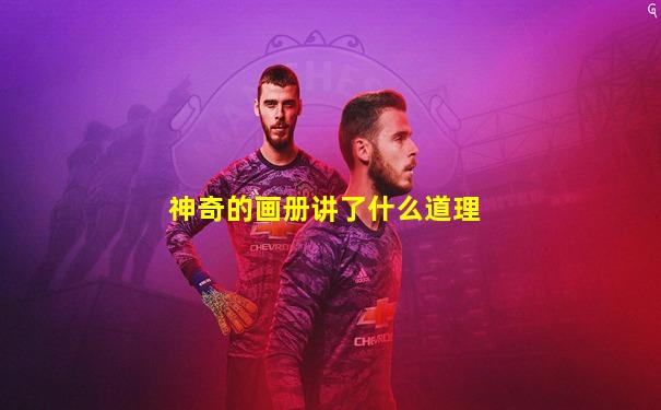 神奇的画册讲了什么道理