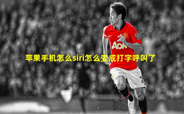 苹果手机怎么siri怎么变成打字呼叫了