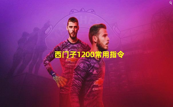 西门子1200常用指令