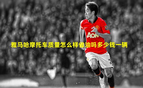 雅马哈摩托车质量怎么样省油吗多少钱一辆