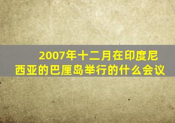 2007年十二月在印度尼西亚的巴厘岛举行的什么会议