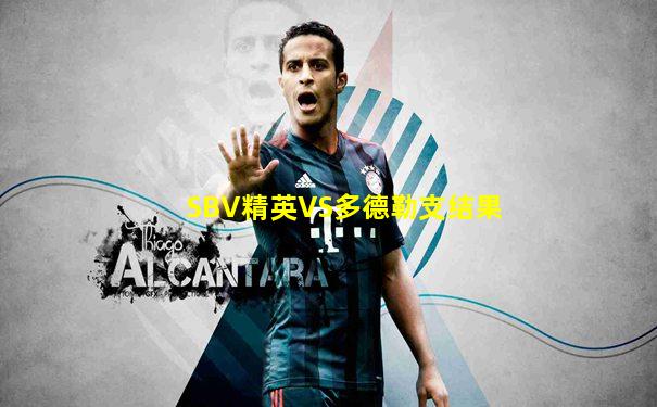SBV精英VS多德勒支结果