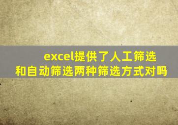 excel提供了人工筛选和自动筛选两种筛选方式对吗