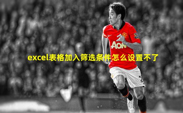 excel表格加入筛选条件怎么设置不了