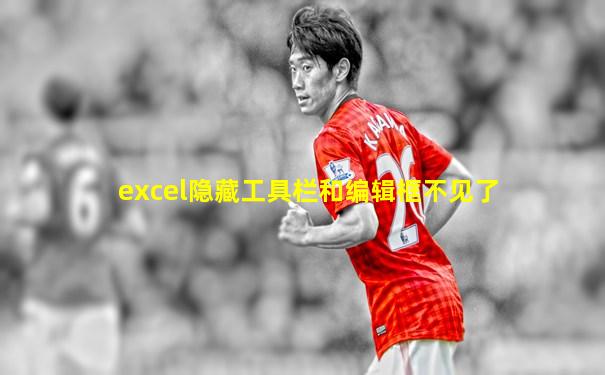 excel隐藏工具栏和编辑框不见了