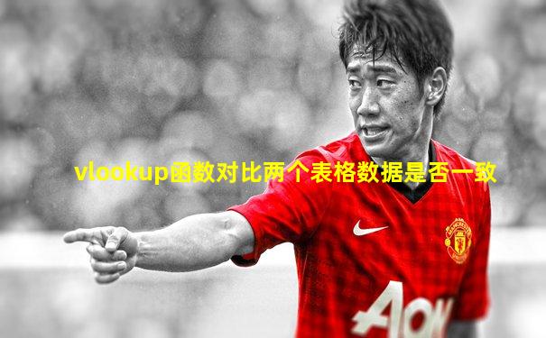 vlookup函数对比两个表格数据是否一致