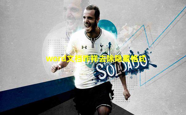word文档咋样去除隐藏格式