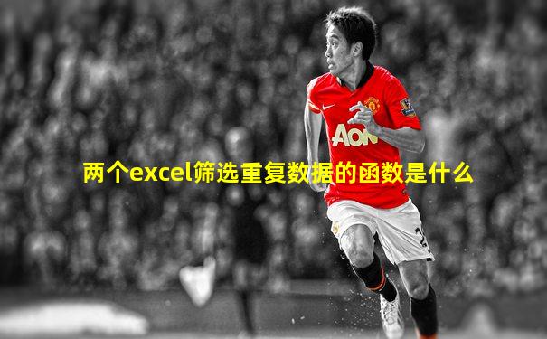 两个excel筛选重复数据的函数是什么