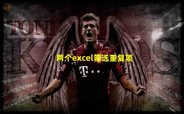 两个excel筛选重复项