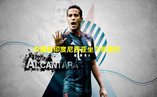 中国到印度尼西亚坐飞机票价