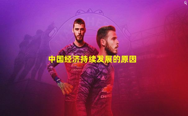 中国经济持续发展的原因