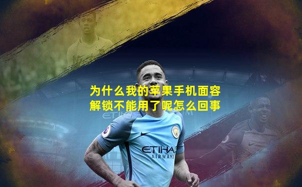 为什么我的苹果手机面容解锁不能用了呢怎么回事