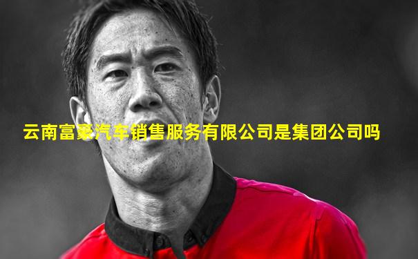 云南富豪汽车销售服务有限公司是集团公司吗