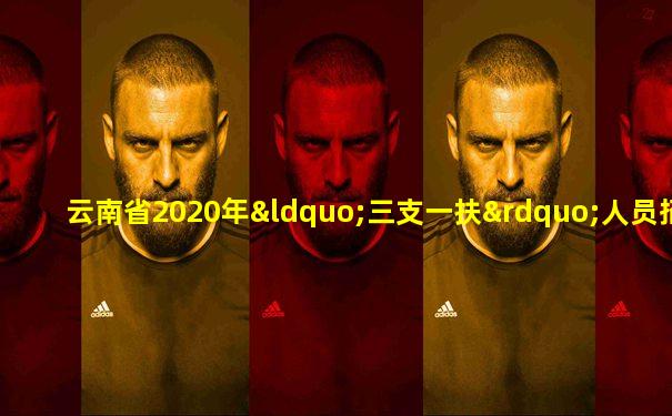 云南省2020年“三支一扶”人员招募岗位明细表