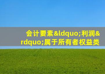 会计要素“利润”属于所有者权益类