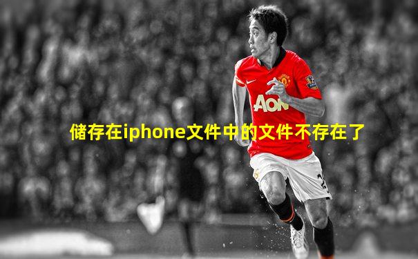 储存在iphone文件中的文件不存在了