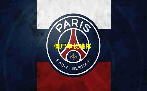 僵尸车长啥样