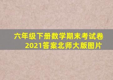 六年级下册数学期末考试卷2021答案北师大版图片
