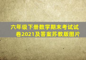 六年级下册数学期末考试试卷2021及答案苏教版图片