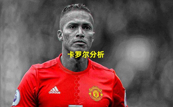 卡罗尔分析