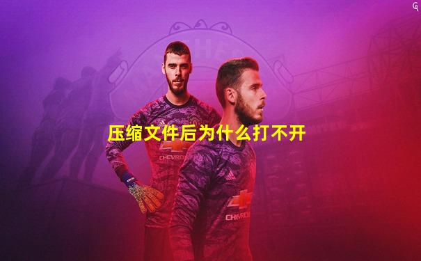 压缩文件后为什么打不开
