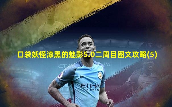 口袋妖怪漆黑的魅影5.0二周目图文攻略(5)