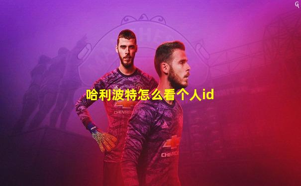 哈利波特怎么看个人id