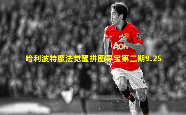 哈利波特魔法觉醒拼图寻宝第二期9.25