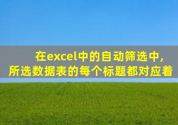 在excel中的自动筛选中,所选数据表的每个标题都对应着