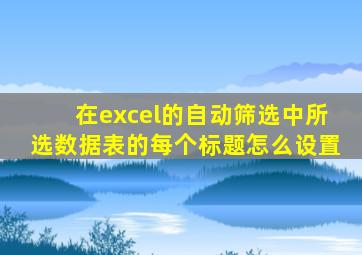 在excel的自动筛选中所选数据表的每个标题怎么设置