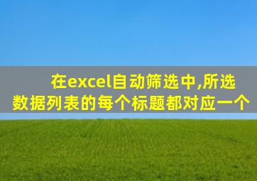 在excel自动筛选中,所选数据列表的每个标题都对应一个