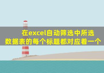 在excel自动筛选中所选数据表的每个标题都对应着一个