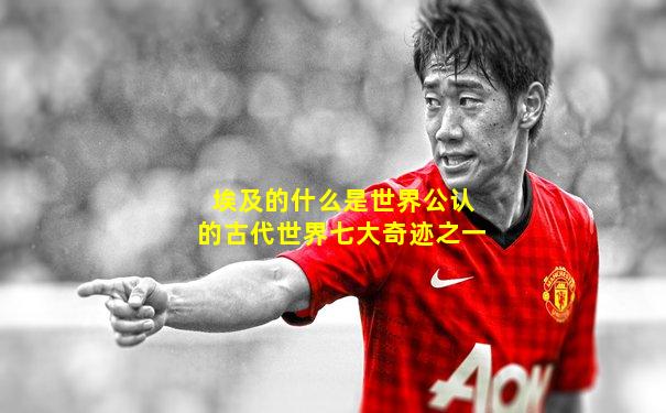 埃及的什么是世界公认的古代世界七大奇迹之一