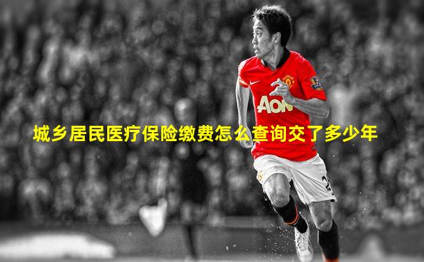 城乡居民医疗保险缴费怎么查询交了多少年